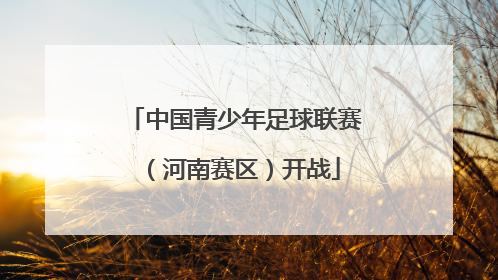 中国青少年足球联赛（河南赛区）开战