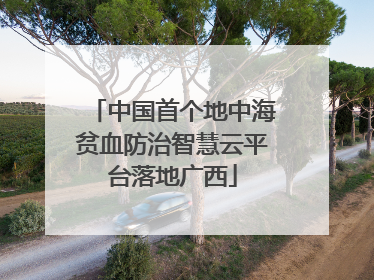 中国首个地中海贫血防治智慧云平台落地广西