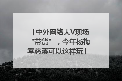 中外网络大V现场“带货”，今年杨梅季慈溪可以这样玩