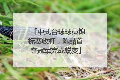 中式台球球员锦标赛收杆，陈喆首夺冠军完成蜕变