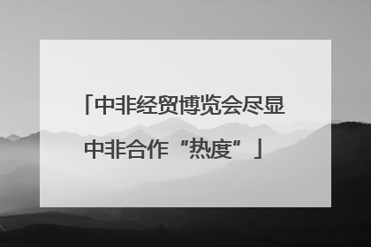 中非经贸博览会尽显中非合作“热度”