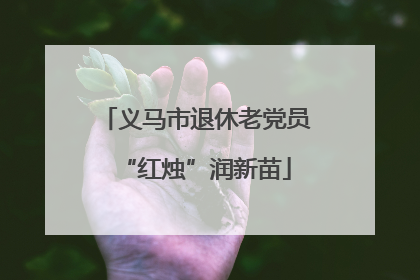 义马市退休老党员“红烛”润新苗