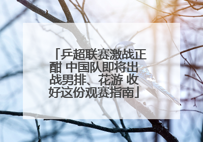 乒超联赛激战正酣 中国队即将出战男排、花游 收好这份观赛指南