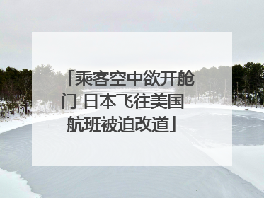 乘客空中欲开舱门 日本飞往美国航班被迫改道