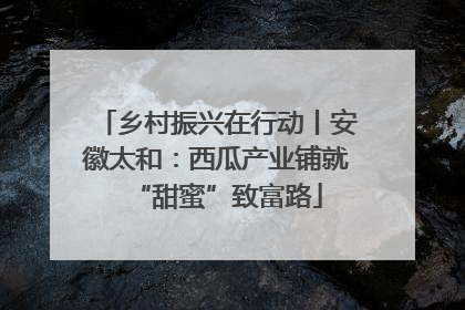 乡村振兴在行动丨安徽太和：西瓜产业铺就“甜蜜”致富路