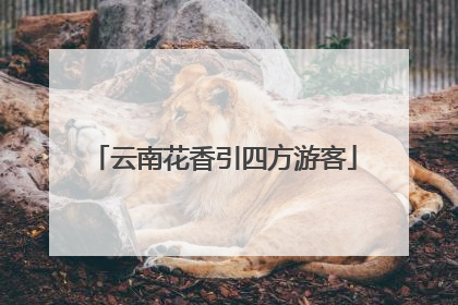 云南花香引四方游客