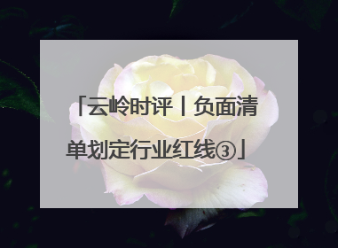云岭时评丨负面清单划定行业红线③