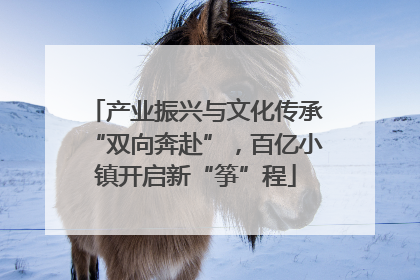 产业振兴与文化传承“双向奔赴”，百亿小镇开启新“筝”程