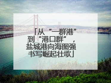 从“一群港”到“港口群”，盐城港向海图强书写崛起壮歌
