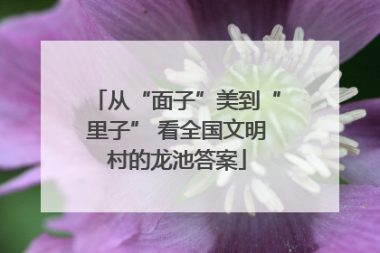 从“面子”美到“里子” 看全国文明村的龙池答案