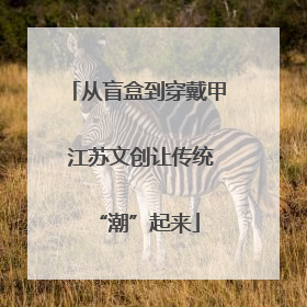 从盲盒到穿戴甲 江苏文创让传统“潮”起来