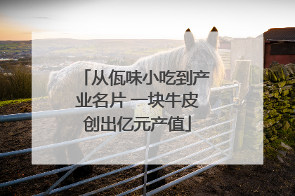 从佤味小吃到产业名片 一块牛皮创出亿元产值