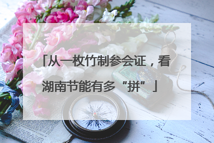 从一枚竹制参会证，看湖南节能有多“拼”