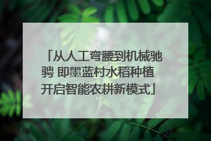 从人工弯腰到机械驰骋 即墨蓝村水稻种植开启智能农耕新模式
