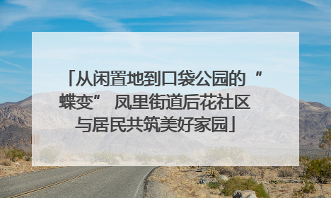 从闲置地到口袋公园的“蝶变” 凤里街道后花社区与居民共筑美好家园
