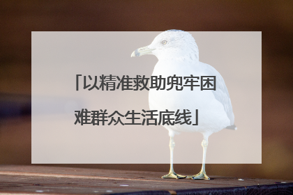 以精准救助兜牢困难群众生活底线