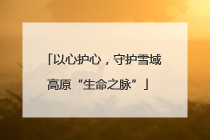以心护心，守护雪域高原“生命之脉”