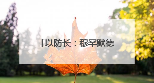 以防长：穆罕默德·辛瓦尔已死 这些人是下个目标