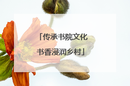 传承书院文化 书香浸润乡村