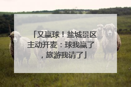 又赢球！盐城景区主动开麦：球我赢了，旅游我请了