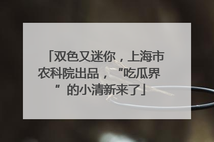 双色又迷你，上海市农科院出品，“吃瓜界”的小清新来了