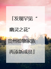发现罕见“幽灵之花” 贵州植物家族再添新成员