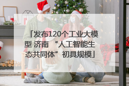 发布120个工业大模型 济南 “人工智能生态共同体”初具规模