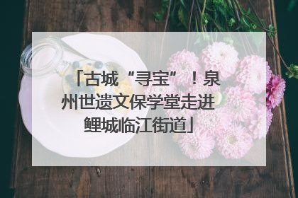 古城“寻宝”！泉州世遗文保学堂走进鲤城临江街道