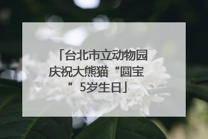 台北市立动物园庆祝大熊猫“圆宝”5岁生日