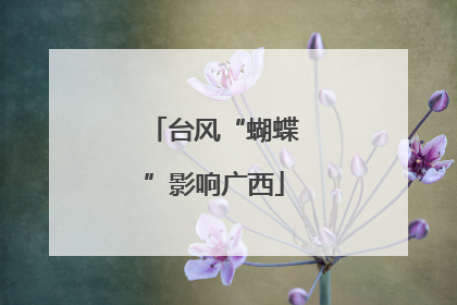 台风“蝴蝶”影响广西