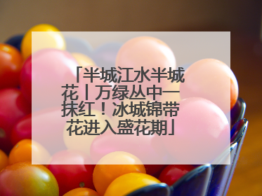 半城江水半城花丨万绿丛中一抹红！冰城锦带花进入盛花期