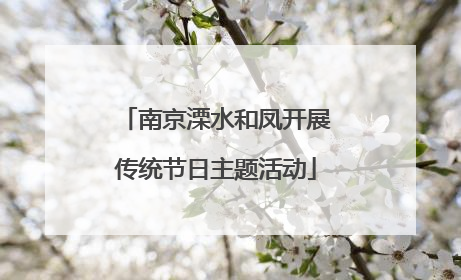 南京溧水和凤开展传统节日主题活动