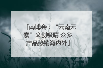 南博会：“云南元素”文创吸睛 众多产品热销海内外