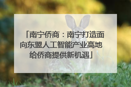 南宁侨商：南宁打造面向东盟人工智能产业高地给侨商提供新机遇