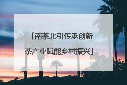 南茶北引传承创新 茶产业赋能乡村振兴
