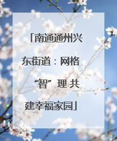 南通通州兴东街道：网格“智”理 共建幸福家园
