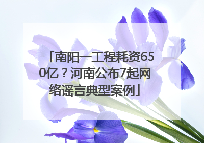 南阳一工程耗资650亿？河南公布7起网络谣言典型案例