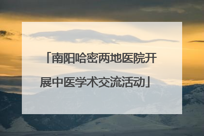 南阳哈密两地医院开展中医学术交流活动