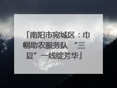 南阳市宛城区：巾帼助农服务队 “三夏”一线绽芳华