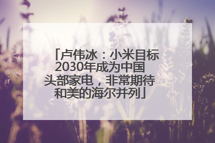 卢伟冰：小米目标2030年成为中国头部家电，非常期待和美的海尔并列