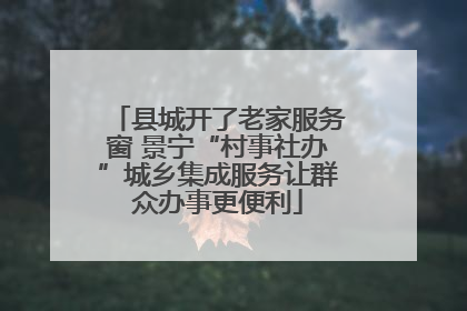 县城开了老家服务窗 景宁“村事社办”城乡集成服务让群众办事更便利