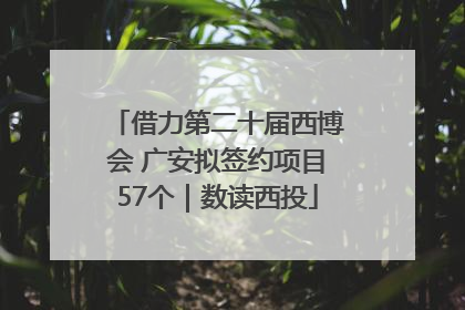借力第二十届西博会 广安拟签约项目57个｜数读西投