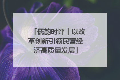 儒韵时评丨以改革创新引领民营经济高质量发展