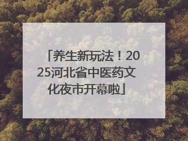 养生新玩法！2025河北省中医药文化夜市开幕啦