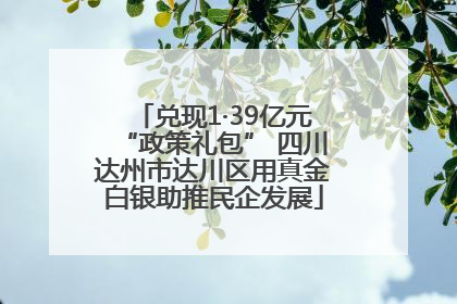 兑现1·39亿元“政策礼包” 四川达州市达川区用真金白银助推民企发展