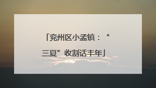 兖州区小孟镇：“三夏”收割话丰年