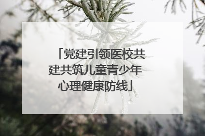 党建引领医校共建共筑儿童青少年心理健康防线