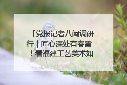 党报记者八闽调研行｜匠心深处有春雷！看福建工艺美术如何创新表达