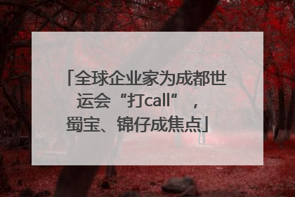 全球企业家为成都世运会“打call”，蜀宝、锦仔成焦点