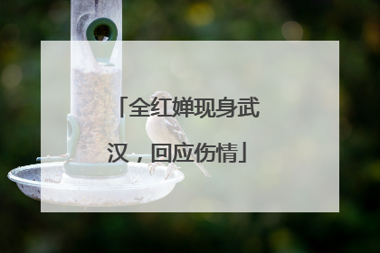 全红婵现身武汉，回应伤情